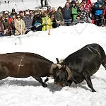 Residenz Iris Leukerbad