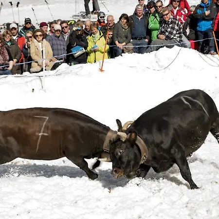 Residenz Iris Loèche-les-Bains