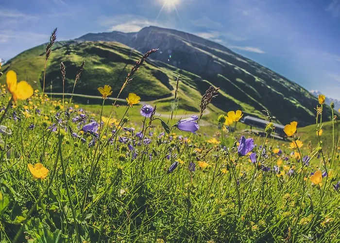 Residenz Iris Apartment Leukerbad