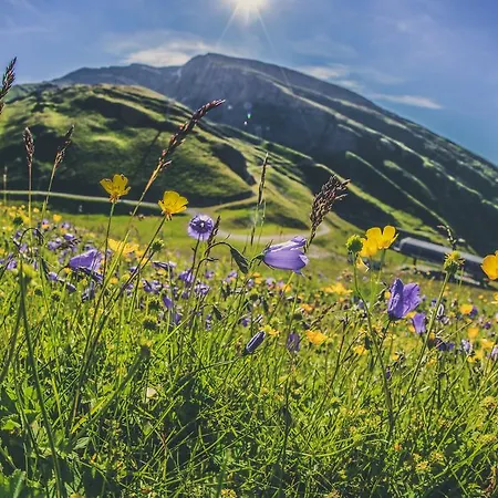 Residenz Iris Apartment Leukerbad